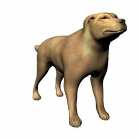 Modelo 3D de cão doméstico selvagem