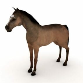 国内の馬の動物3Dモデル