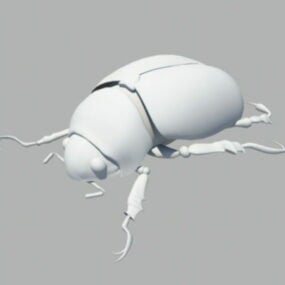 Dung Beetle 3d-modell