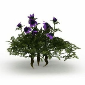 Cespugli nani con fiore viola modello 3d