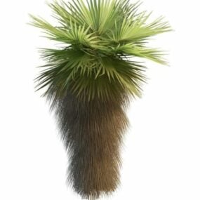 Dwarf Fan Palm Tree 3d model