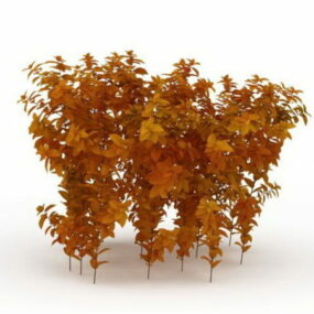Modelo 3d de color de otoño de Fothergilla enana
