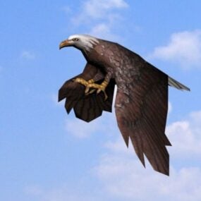 Eagle Gliding Animation 3d model