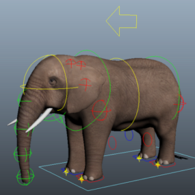 مدل سه بعدی حیوانات فیل ریگ