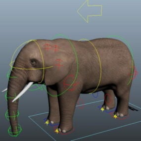 Model 3d Elephant Rigging