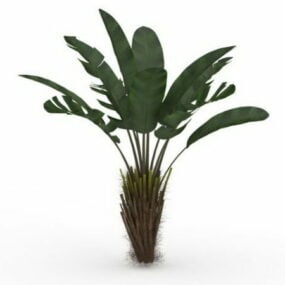 Modello 3d dell'albero della pianta dell'orecchio di elefante