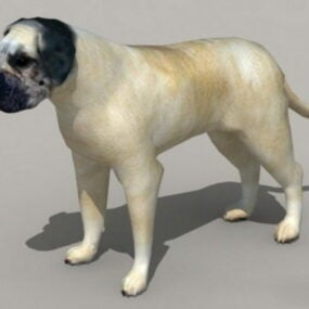 Englischer Mastiff 3D-Modell