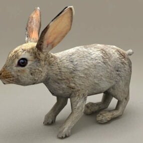ウエスタンウサギの低ポリ3Dモデル