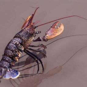 Cartoon Lobster 3d model
