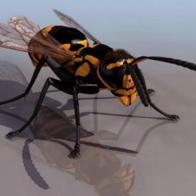 European Wasp Animal 3D-malli