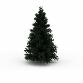 Evergreen Pine Tree 3d model