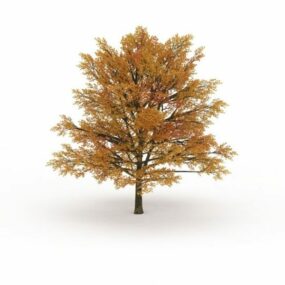 3д модель осеннего цветного дерева