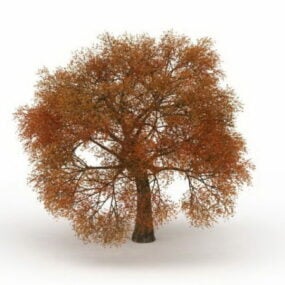 أوراق الخريف شجرة الخريف نموذج 3D