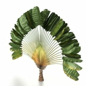 Modelo 3d de palmera de abanico de belleza