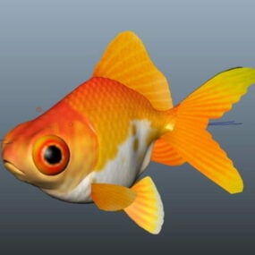 דגם תלת מימד מפואר של דג זהב