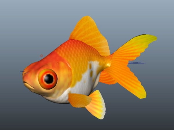 Необычная Золотая рыбка