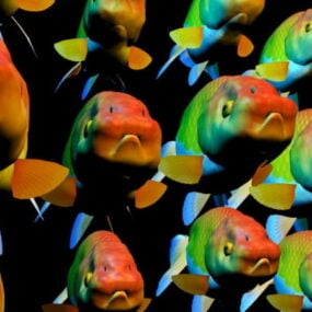 Fancy Goldfish School Animal 3d-model