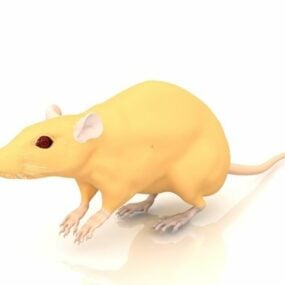 Fancy Rat Animal 3d model