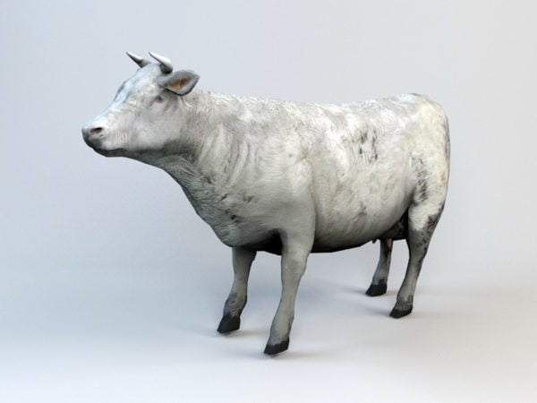 Farm Cow Animated Rig