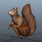 Fat Squirrel Animal