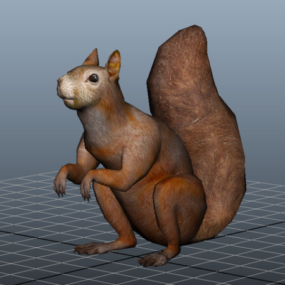 Modello 3d animale scoiattolo grasso