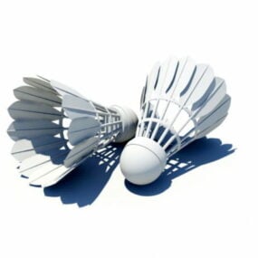Badminton Racket With Shuttles 3d model