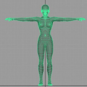 女性身体底座3d模型