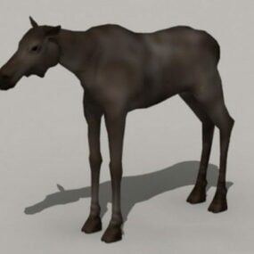 Female Moose Animal 3d model