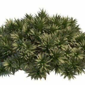 シダの観葉植物3Dモデル