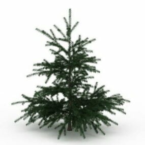 Vánoční strom jedle 3D model