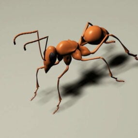 Wild Animal Fire Ant 3d model