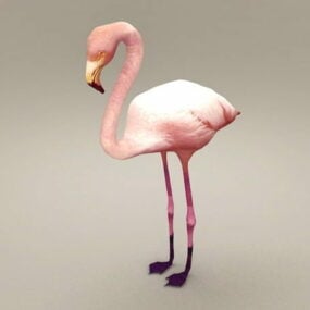 Modelo 3d do pássaro flamingo