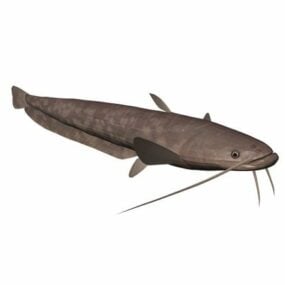 Model 3d Hewan Ikan Lele Flathead