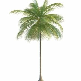 Modelo 3d de la palmera de Florida