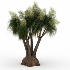 Florida Slash Pine Tree דגם תלת מימד