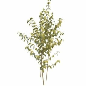 Modello 3d della pianta del fogliame del fiorista