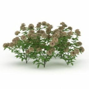 Plante à fleurs pour jardin modèle 3D