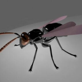 フライ昆虫リグ3Dモデル