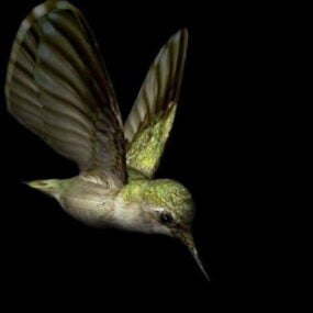 Modelo 3d de animal colibri voador
