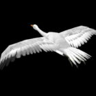 Flying Swan Bird