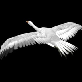 3D model létajícího ptáka labutě