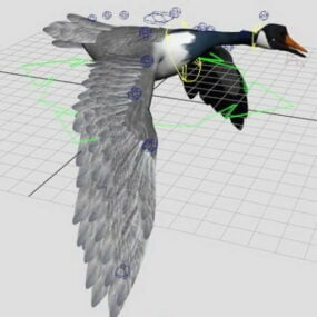 3д модель летающего дикого гуся