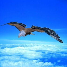 پرواز عقاب Rigged مدل سه بعدی و متحرک