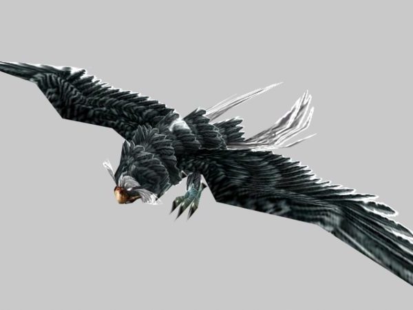 Flying Hawk Character