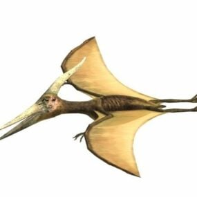 Animal ptérodactyle volant modèle 3D
