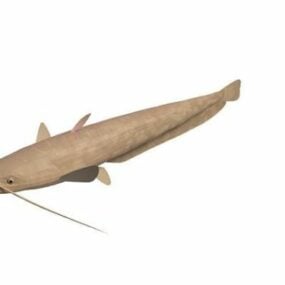 Freshwater Catfish Animal 3d model