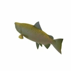 3д модель пресноводной рыбы чавычи