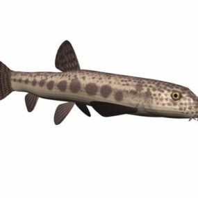 Freshwater Fish Animal 3d model