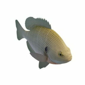 Makean veden Panfish Animal 3D-malli
