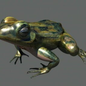 Frog Rigged mô hình 3d